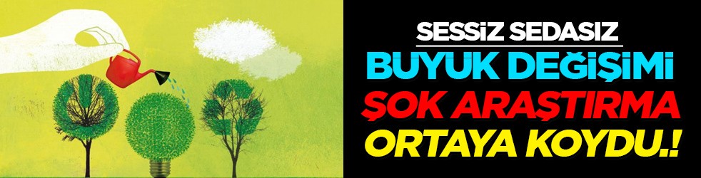 Sessiz sedasız büyük değişim: İklim krizi ağaç çeşitliliğini yeniden şekillendiriyor! Şok veriler sarstı