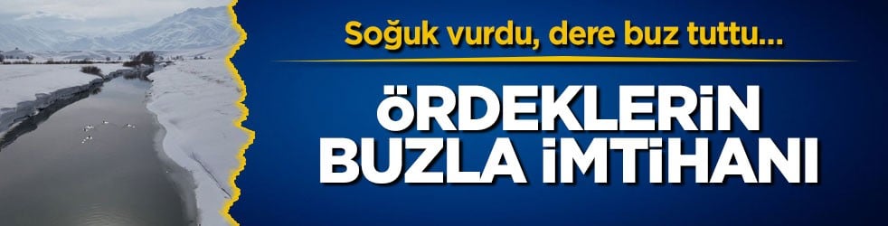 Soğuk vurdu, dere buz tuttu… Ördeklerin buzla imtihanı