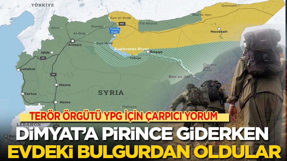 Terör örgütü YPG için çarpıcı yorum: Dimyat’a pirince giderken evdeki bulgurdan oldular