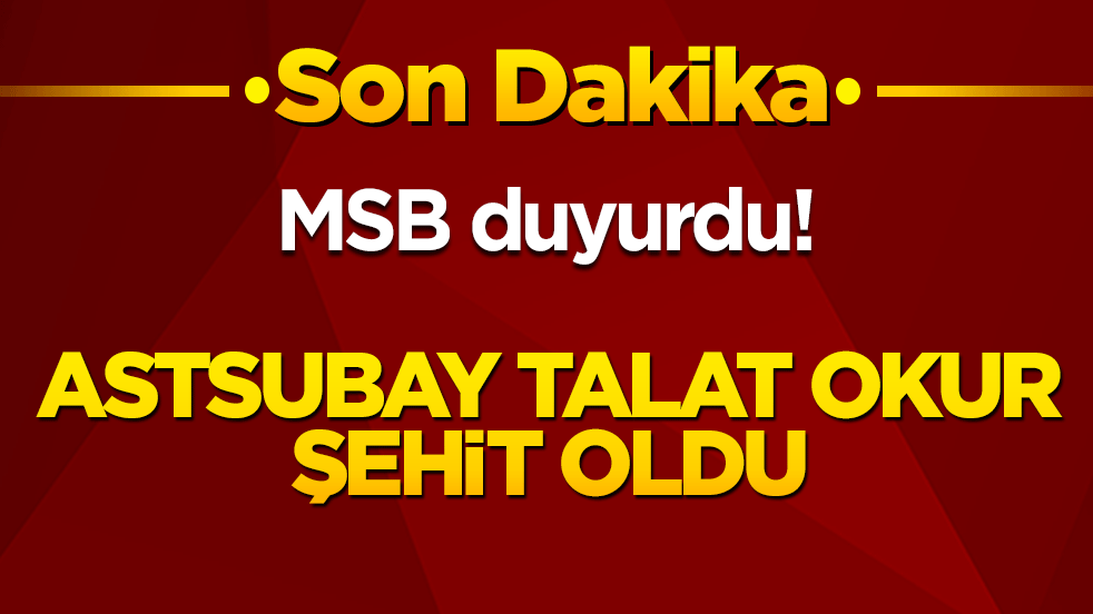 Türk Silahlı Kuvvetleri'ne acı haber! Rahatsızlanan Astsubay Talat Okur şehit düştü