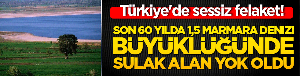 Türkiye'de sessiz felaket! Son 60 yılda 1,5 Marmara Denizi büyüklüğünde sulak alan yok oldu