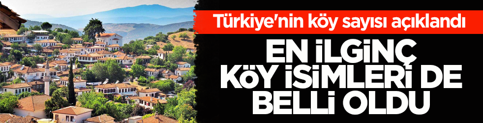 Türkiye'nin köy sayısı açıklandı! En ilginç köy isimleri de belli oldu