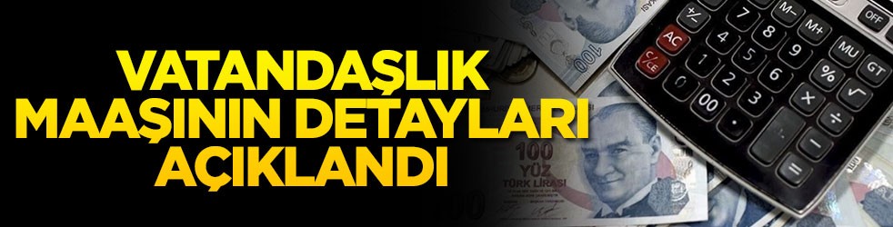 Vatandaşlık maaşının detayları açıklandı