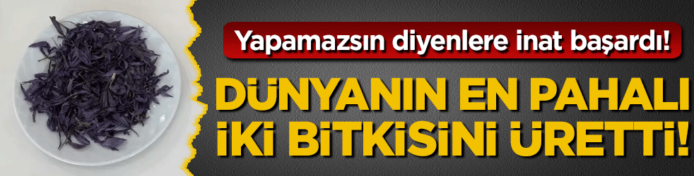 Yapamazsın diyenlere inat: Dünyanın en pahalı 2 bitkisini üretti!