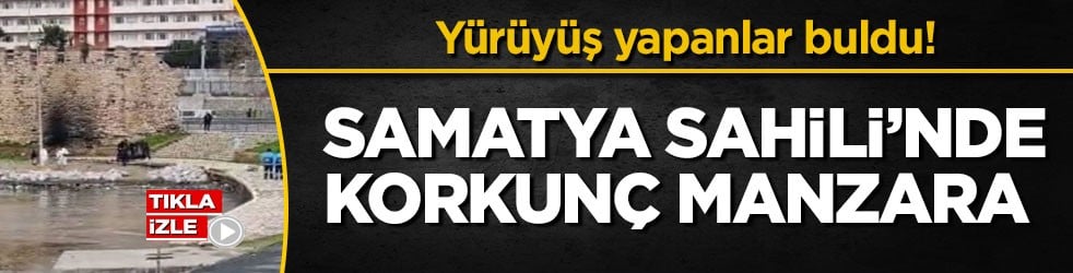 Yürüyüş yapanlar buldu! Samatya Sahili’nde korkunç manzara