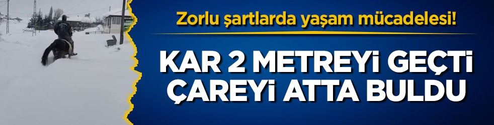 Zorlu şartlarda yaşam mücadelesi! Kar 2 metreyi geçti, çareyi atta buldu