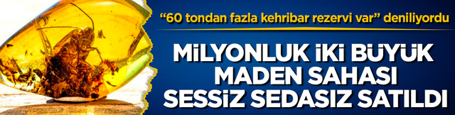 &ldquo;60 tondan fazla kehribar rezervi var&rdquo; deniliyordu! Milyonluk iki b&uuml;y&uuml;k maden sahası, sessiz sedasız satıldı