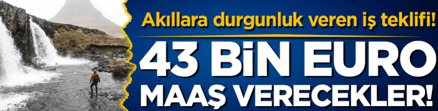 Akıllara durgunluk veren iş ilanı: 43 bin euro maaş verecekler!