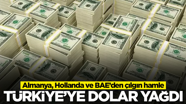 Almanya, Hollanda ve Birleşik Arap Emirlikleri'nden &ccedil;ılgın hamle: T&uuml;rkiye'ye dolar yağdı