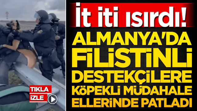 Almanya'da k&ouml;pekli m&uuml;dahale polisin elinde patladı! Filistin destek&ccedil;ilerine salınan k&ouml;pek polisi ısırdı!