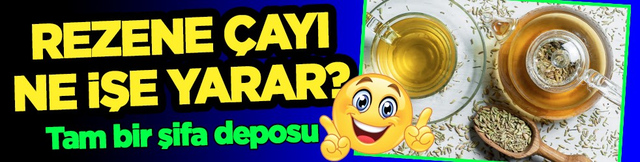 Antifungal ve antispazmodik gibi... Rezene &ccedil;ayı ne işe yarar? Rezene &ccedil;ayı faydaları nelerdir?