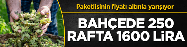Bah&ccedil;ede 250, rafta 1600 lira! Paketlisinin fiyatı altınla yarışıyor