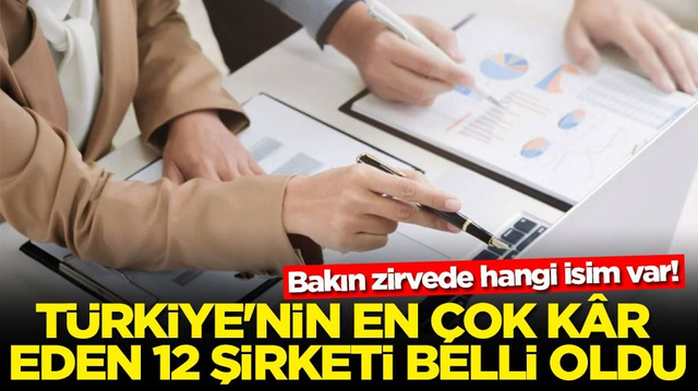 Bakın zirvede hangi isim var! T&uuml;rkiye'nin en &ccedil;ok k&acirc;r eden 12 şirketi belli oldu
