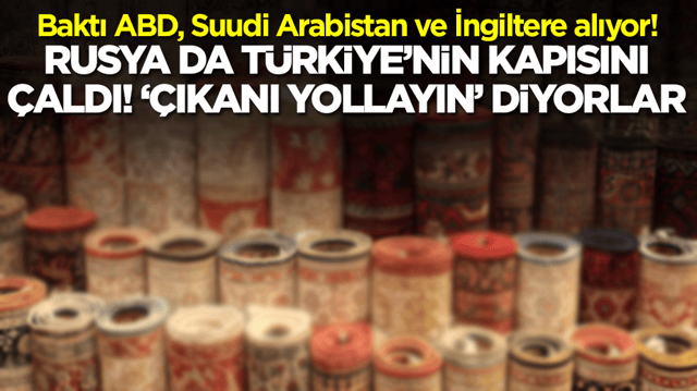 Baktı ABD, Suudi Arabistan ve İngiltere alıyor! Rusya da T&uuml;rkiye'nin kapısını &ccedil;aldı, '&ccedil;ıkanı yollayın' diyorlar