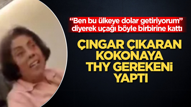 &ldquo;Ben bu &uuml;lkeye dolar getiriyorum&rdquo; diyerek u&ccedil;ağı b&ouml;yle birbirine kattı! &Ccedil;ıngar &ccedil;ıkaran kokonaya THY gerekeni yaptı
