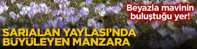 Beyazla mavinin buluştuğu yer! Sarıalan Yaylası&rsquo;nda b&uuml;y&uuml;leyen manzara