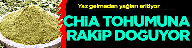 Bilimsel adı ile 'psyllium husk' Chia tohumuna rakip doğuyor: Yaz gelmeden yağları eritiyor