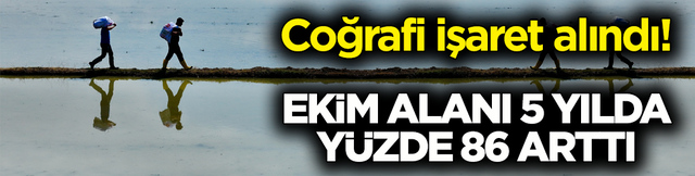 Coğrafi işaret alındı! Ekim alanı 5 yılda y&uuml;zde 86 arttı