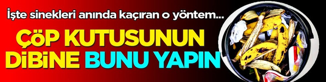 Çöp kutusunun dibine bu yöntemi yapanlar yaşadı! Sinek, minek kalmıyor...