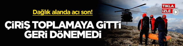 Dağlık alanda acı son! &Ccedil;iriş toplamaya gitti, geri d&ouml;nemedi