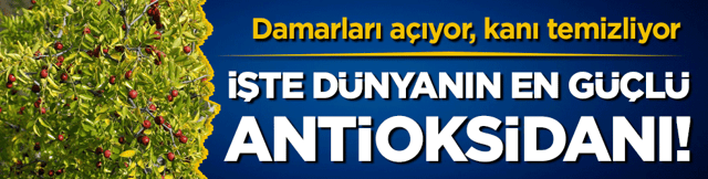 Damarları a&ccedil;ıyor, kanı temizliyor: İşte d&uuml;nyanın en g&uuml;&ccedil;l&uuml; antioksidanı!