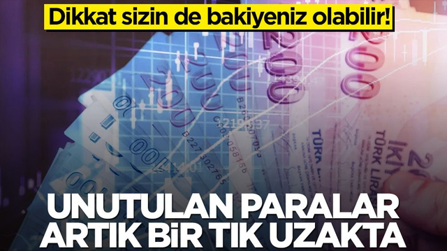 Dikkat sizin de bakiyeniz olabilir! Unutulan paralar artık bir tık uzakta