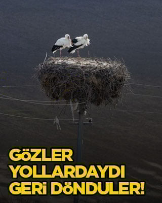 Gözler yollardaydı, geri döndüler!