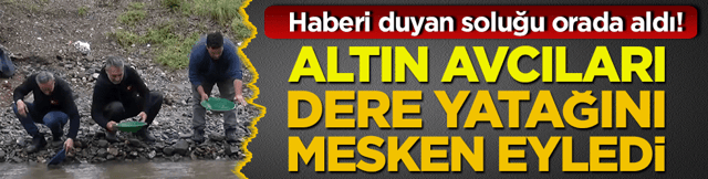 Haberi duyan soluğu orada aldı! Altın avcıları dere yatağını mesken eyledi