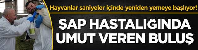 Hayvanlar saniyeler i&ccedil;inde yeniden yemeye başlıyor! Şap hastalığında umut veren buluş