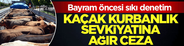 İstanbul&rsquo;da ka&ccedil;ak kurbanlık operasyonu! S&uuml;r&uuml;c&uuml;lere toplam 626 bin lirayı aşan ceza kesildi
