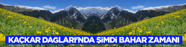 Ka&ccedil;kar Dağları'nda şimdi bahar zamanı