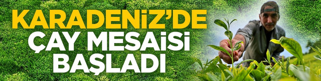 Karadeniz&rsquo;de &ccedil;ay mesaisi başladı