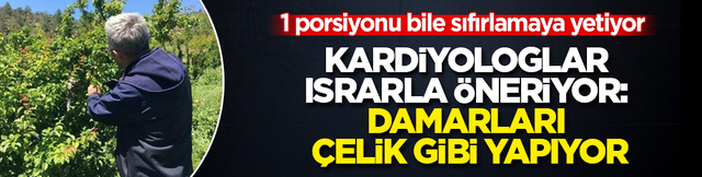 Kardiyologlar ısrarla öneriyor: Damarları çelik gibi yapıyor! 1 porsiyonu bile sıfırlamaya yetiyor