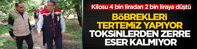 Kilosu 4 bin liradan 2 bin liraya d&uuml;şt&uuml;: B&ouml;brekleri tertemiz yapıyor, toksinlerden zerre eser kalmıyor