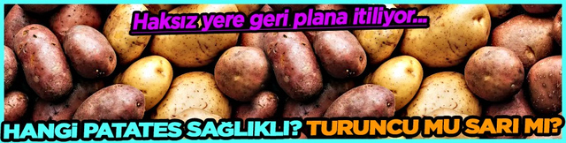 Kızartma, p&uuml;re, fırın yemeği... Hangi patates sağlıklı? Turuncu mu sarı mı?