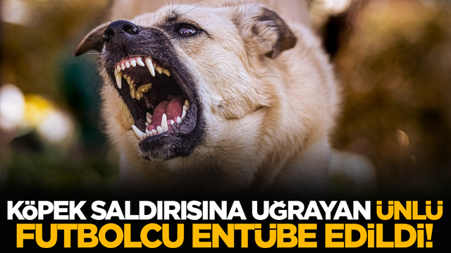K&ouml;pek saldırısına uğrayan &uuml;nl&uuml; futbolcu ent&uuml;be edildi!