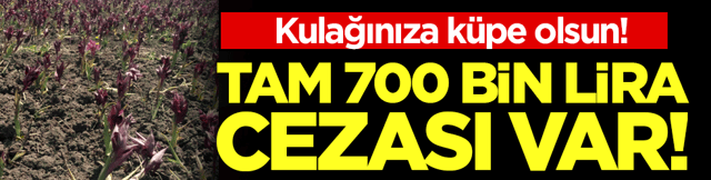 Kulağınıza k&uuml;pe olsun: Tam 700 bin lira cezası var!