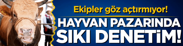 Kurban pazarından sıkı denetim! Ekipler g&ouml;z a&ccedil;tırmıyor!