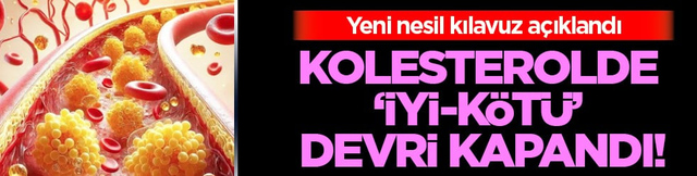 LDL, mg/dL'nin altına... Kolesterolde 'İyi-k&ouml;t&uuml;' devri kapandı: Yeni nesil kılavuz a&ccedil;ıklandı