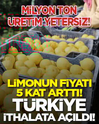 Limonun fiyatı 5 kat arttı! Türkiye ithalata açıldı! Milyon ton üretim yetersiz