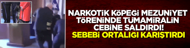 Narkotik k&ouml;peği mezuniyet t&ouml;reninde t&uuml;mamiralin cebine saldırdı, sebebi ortalığı karıştırdı