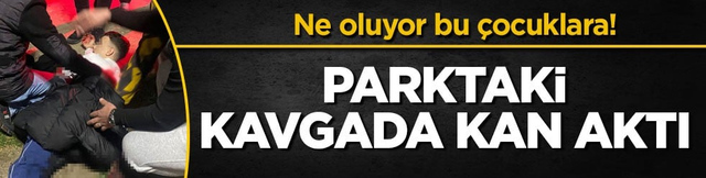 Ne oluyor bu &ccedil;ocuklara! Parktaki kavgada kan aktı