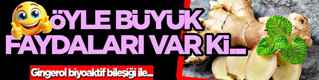 &Ouml;yle b&uuml;y&uuml;k faydaları var ki... Gingerol adındaki biyoaktif bileşiği ile...