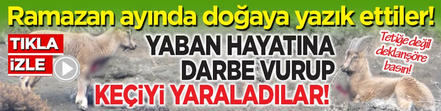 Ramazan ayında doğaya yazık ettiler! Yaban hayatına darbe vurup ke&ccedil;iyi yaraladılar!