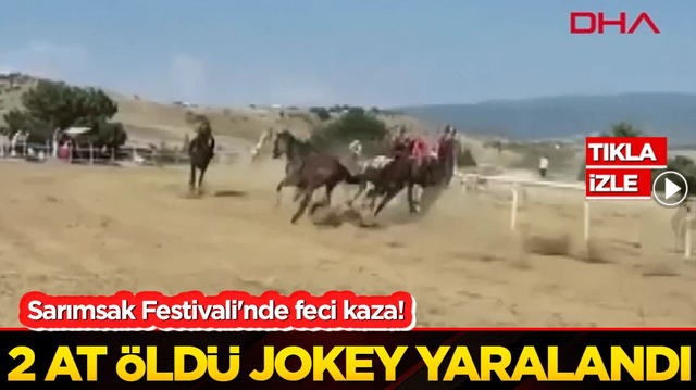 Sarımsak Festivali'nde feci kaza! 2 at &ouml;ld&uuml; jokey yaralandı