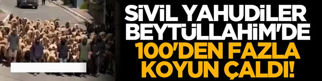 Sivil Yahudiler Beytüllahim'de 100'den fazla koyun çaldı!