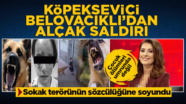 Sokak ter&ouml;r&uuml;n&uuml;n s&ouml;zc&uuml;l&uuml;ğ&uuml;ne soyundu! K&ouml;peksevici Belovacıklı&rsquo;dan vahşeti g&ouml;rmezden gelen al&ccedil;aklık! &Ccedil;ocuk &ouml;l&uuml;mleri umrunda değil