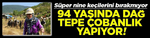 Süper nine keçilerini bırakmıyor 94 yaşında dağ tepe çobanlık yapıyor