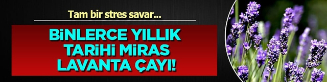 Tıp mucizesi doğada saklı: 3 bin yıllık tarihi miras lavanta çayı... Suyu egzamanın kökünü kazıyor