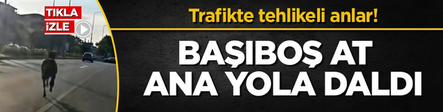 Trafikte tehlikeli anlar! Başıboş at ana yola daldı